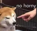Rs_aNoHorny