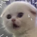 wa