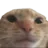 michifuzCalvo