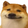 Cheems