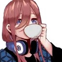 MVMikuSip