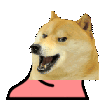 partydogehaha Discord emoji
