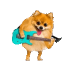 a_x_tzuyu_gucci_wild Discord emoji