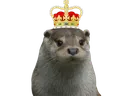 otterking2