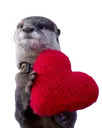 otterlove