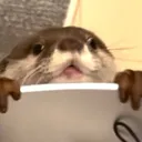 otterpeek