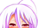 shiropeek