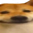 BIGELLO