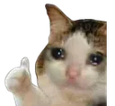 Cat Thumbs Up cat_thumbs_up Discord Emoji