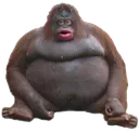 monke