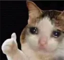 emote03