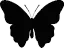 b_butterfly2