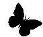 b_butterfly