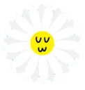 Daisyuwu