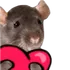 RatLove