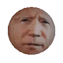 Z_bidenspin