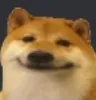 bruhdoge