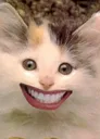 cat_smile