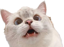 Gasp Discord emoji