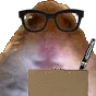 hamnotes