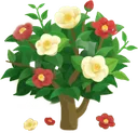 F_Camellia F_Camellia