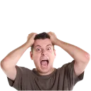 WTF