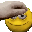 intjpet