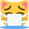 DE_CatMaskCry Discord Emoji