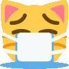 DE_CatMaskCry
