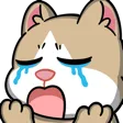 Cry