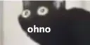 OhNo