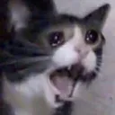 AAAAAAA