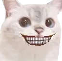 Cursedcattosmile