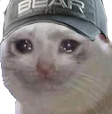 crybear