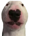 walter walter