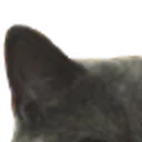 bigglare1