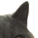 bigglare2
