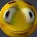intjfloshed