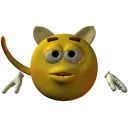 joecatboy