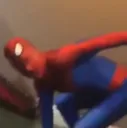 spiderHmm