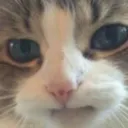 contempt contempt