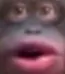 monke