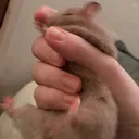 CursedLukaHold