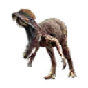 benangry benangry