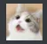 Happycat happycat Discord Emoji