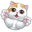 HE_CatHug Discord Emoji