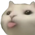 CattoBlep Discord Emoji
