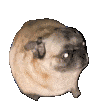 Happy Discord Emoji