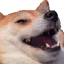 DogeKek DogeKek