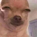sus sus
